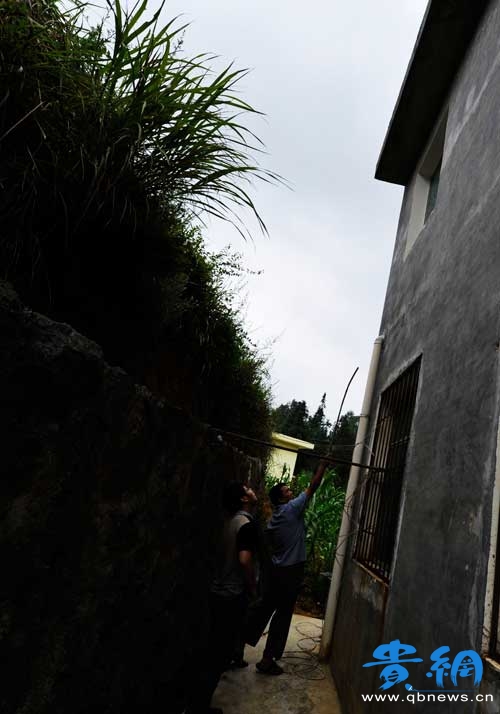 img-1312504989359.jpg