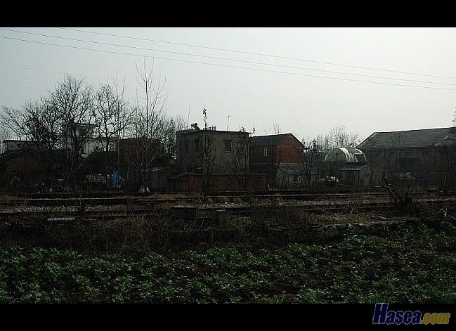 4768d002979346a909fa937f.jpg